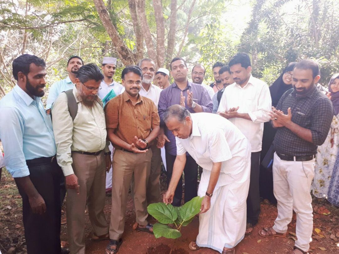 PLANTING OF FIG SAPLING AT CAMPUS ON 20/12/2017